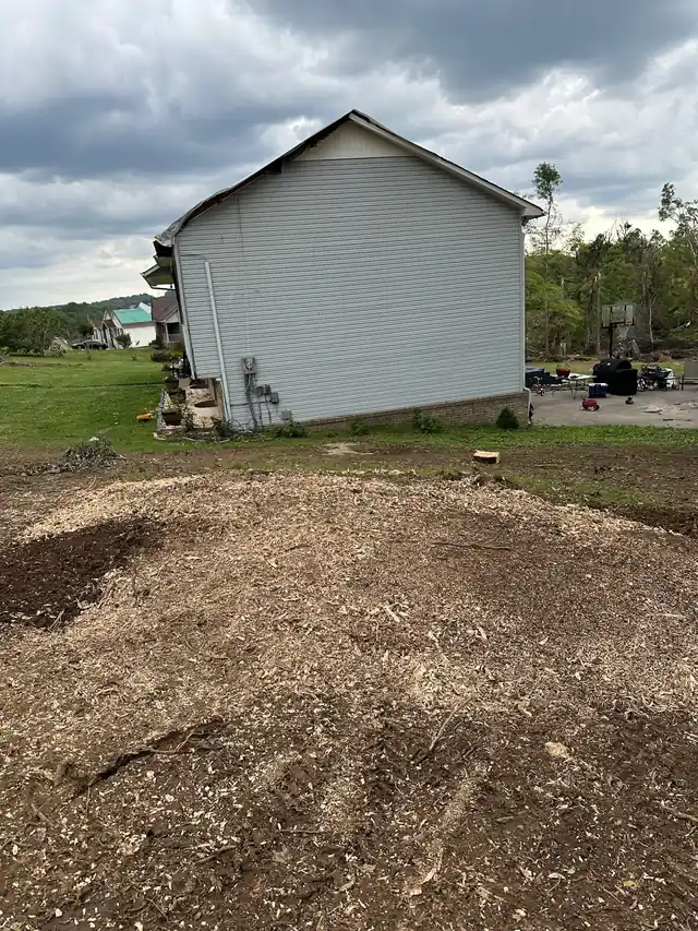 A broad mound of fresh stump-grinding chips beside a house after storm clean-up