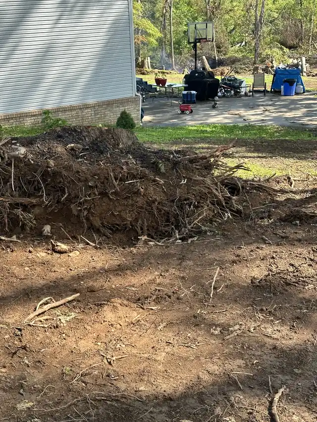 An uprooted root ball and stump mound of dark soil on a yard with a house behind
