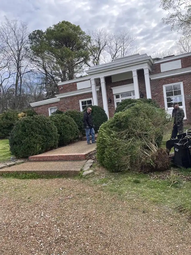 Two crew members standing beside a toppled shrub in front of a brick house, equipment at the right edge